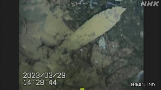 日本东电首次公布福岛核电站1号机组下方调查视频