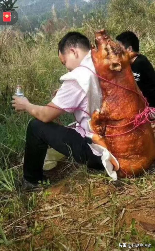 广西人祭祖拜山有多拼翻山越岭飞檐走壁背猪上山