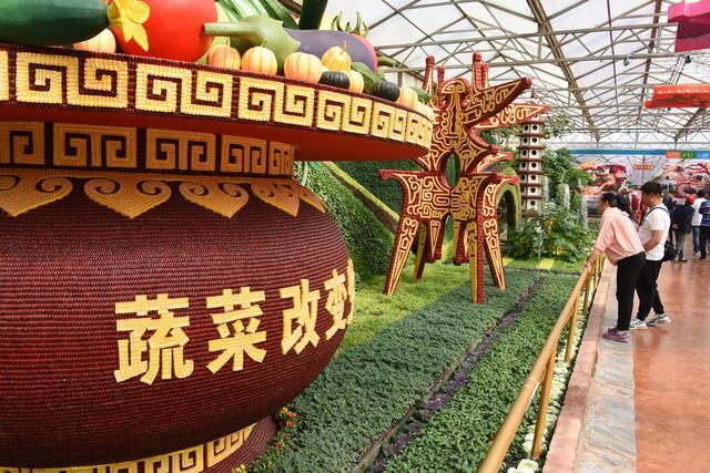 中国“菜篮子”科技含量更足 颠覆对农产品的固有印象