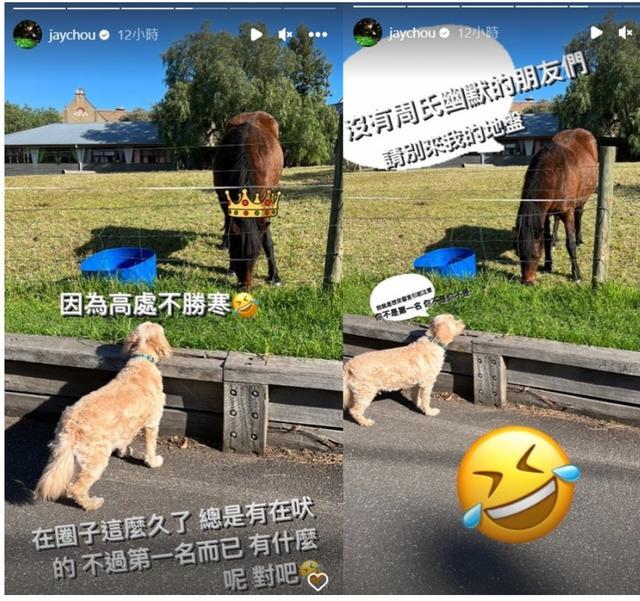 周杰伦发文回怼恶评：总是有在吠的 请别来我地盘