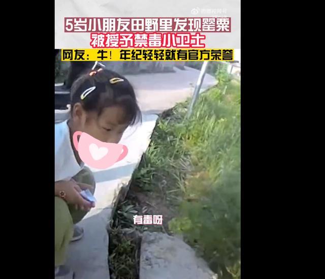 女孩认出罂粟花报警铲除 民警为小朋友颁发了“禁毒小卫士”荣誉证书