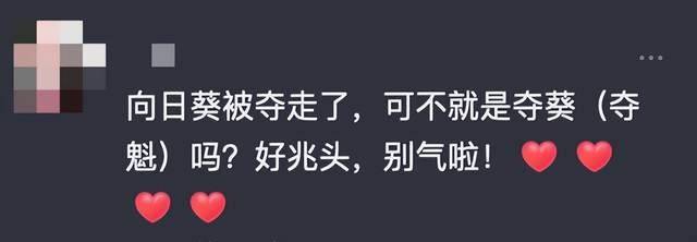 女生将店门口向日葵摘走 店主：本来想留着孩子中考用