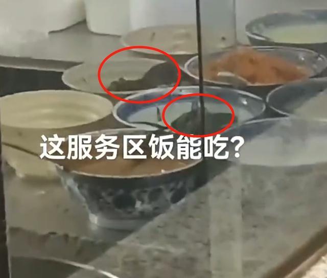 河南一服务区负责人回应菜盆中现老鼠：是外包餐饮