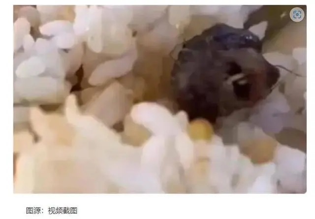 胡锡进点赞鼠头鸭脖通报