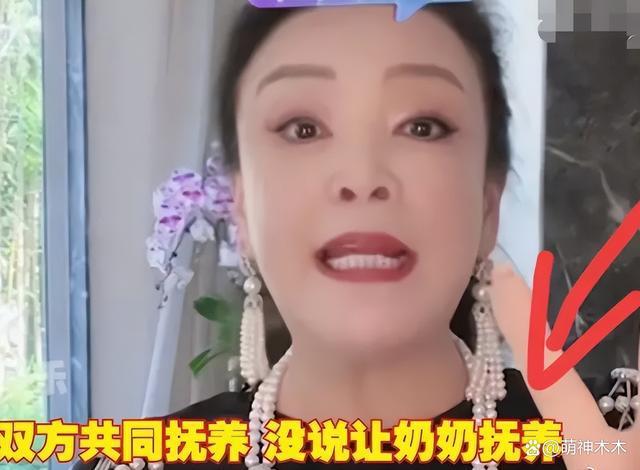 张兰曝S妈要求接孩子回京需做担保 交保证金6000万