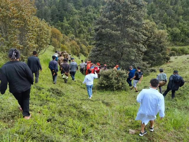 男子上山捡菌遭黑熊袭击 仅头部就缝了五六十针