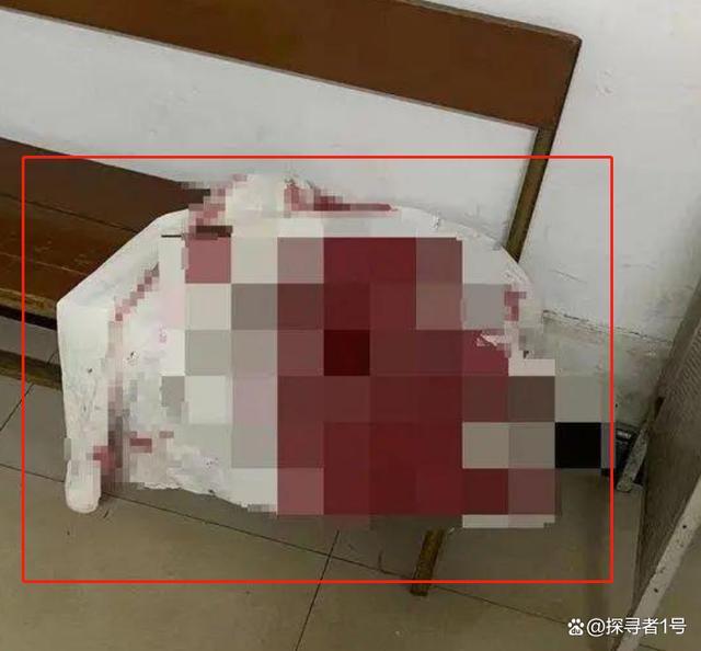 上海一19岁学生持刀伤人 学生张某持刀将同学姚某划伤