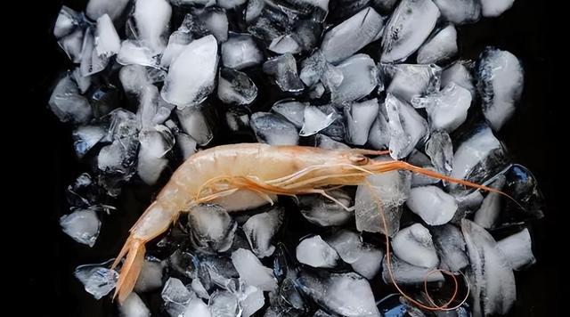 中国在南极意外发现海上粮仓 大量磷虾能养活14亿人