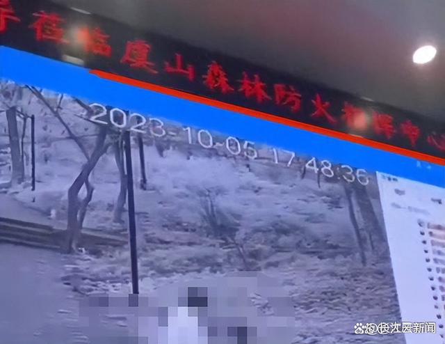 森林防火指挥中心大屏播放野外不雅画面 街办回应：此事比较敏感
