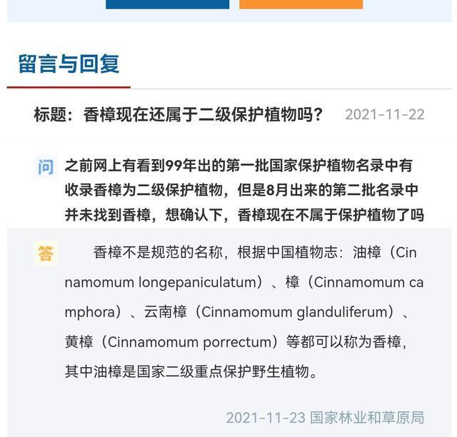 社区回应30年树龄香樟树被砍：树木状态尚可 涉事老人悔罪态度良好