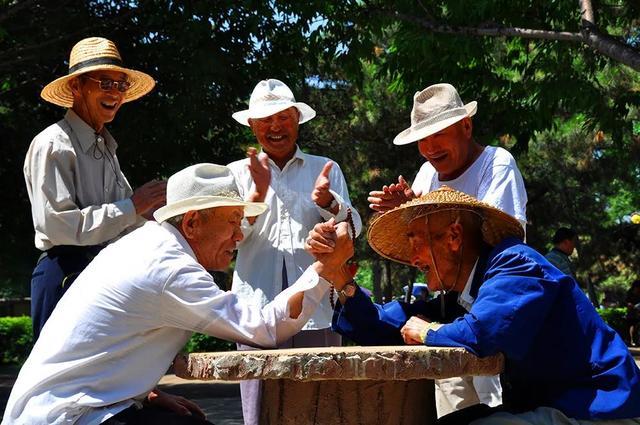 爱凑热闹的老年人更长寿!研究发现经常社交可能会延长寿命