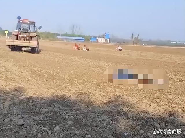 河南周口一老人疑捡拾花生被卷入收割机身亡