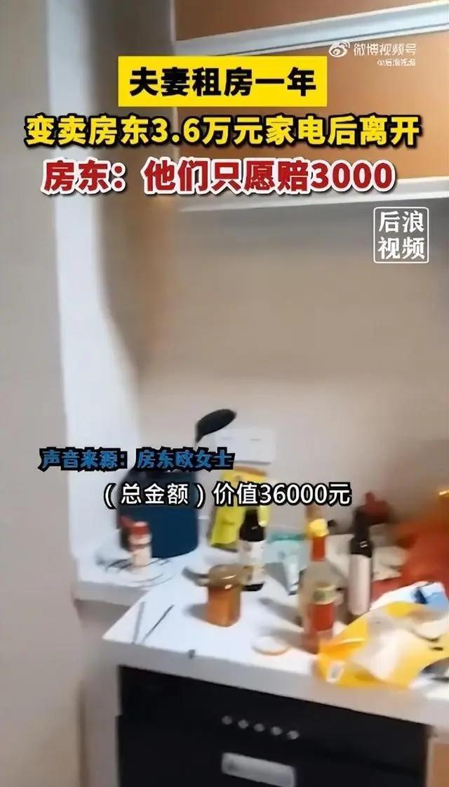 能卖的都卖了！夫妻变卖房东3.6万家电只愿赔三千 房东奶奶被气到住院