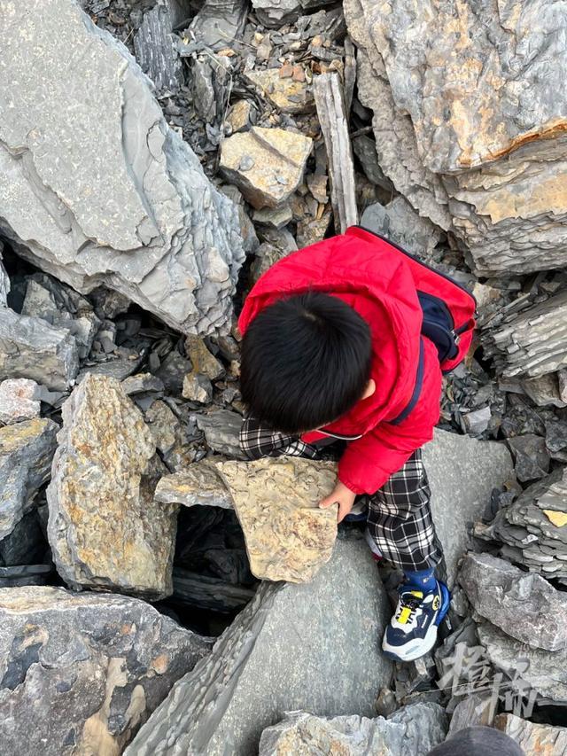 5岁男孩发现5亿年前古生物化石户外运动意外收获