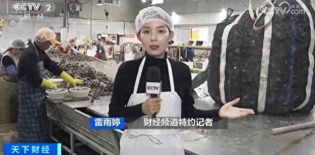中国已成韩国最大水产品出口市场，今年同比增长近三倍