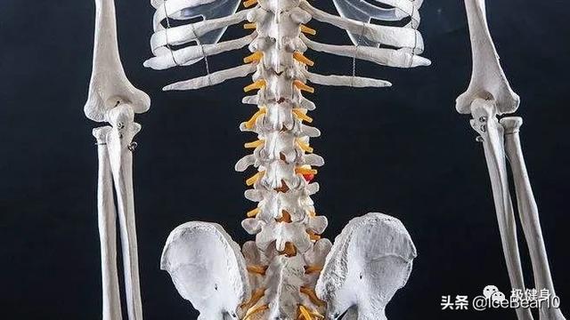 为什么你努力减肥肚子和背部还是瘦不下来，这是什么原因？