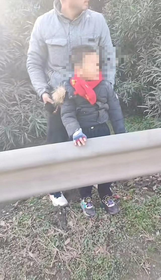 司机高速绿化带捡到一走失小男孩 高速交警：已被家人接走