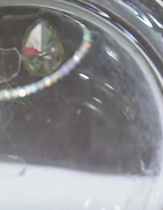 猫咪吞食顾客1克拉钻石 此事引发热议