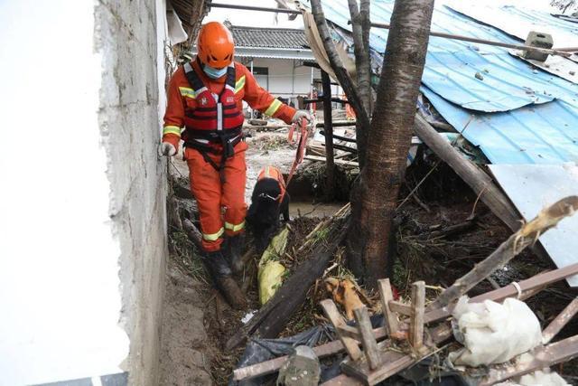 两岁男童回湖南衡阳老家三天后失踪 警方已介入