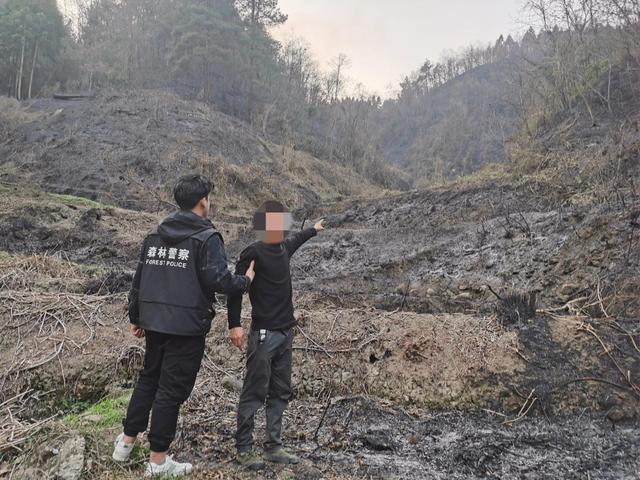 贵州一男子野外烤糍粑引发山火遭刑事拘留