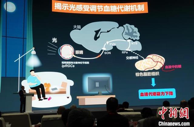 2023中国科学十大进展公布 主要分布在生命科学和医学、人工智能、量子、天文、化学能源等科学领域