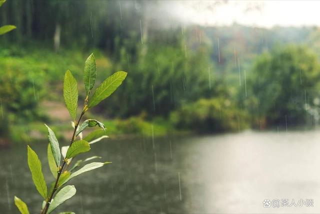 老话说“最怕初一雨淋淋” 为啥怕？农谚早有答案