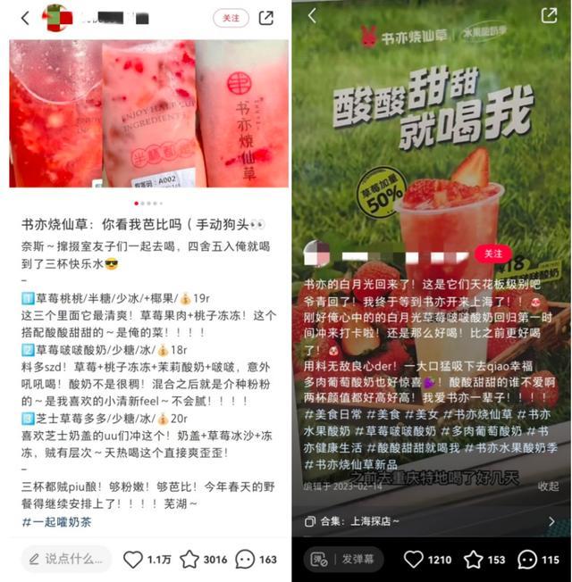 蛋白质含量只有0.53克/100克！“酸奶去哪儿了”?网红茶饮被点名