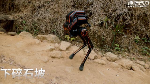 广东产双足机器人可走山地过沟渠：走山路、爬草坡、过沟渠……
