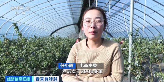 电商主播三小时帮助农户卖了4000斤蓝莓，价格比去年同期每斤高了10元