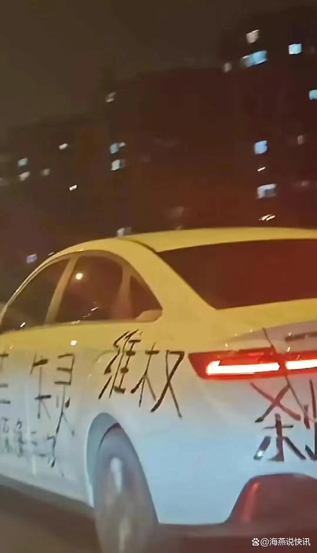 杭州一新能源车车身写满维权字迹刹车失灵