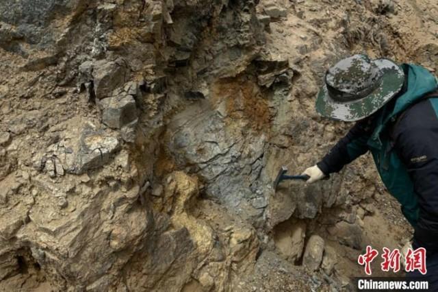 青海柴达木发现大型金矿经济价值超200亿元