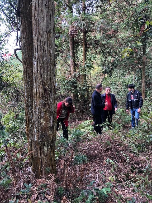 监狱曾两次希望再审湖南“班主任奸杀女生案”