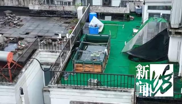 上海通报楼顶巨型鱼缸投诉人被打，城管：没法规可禁止
