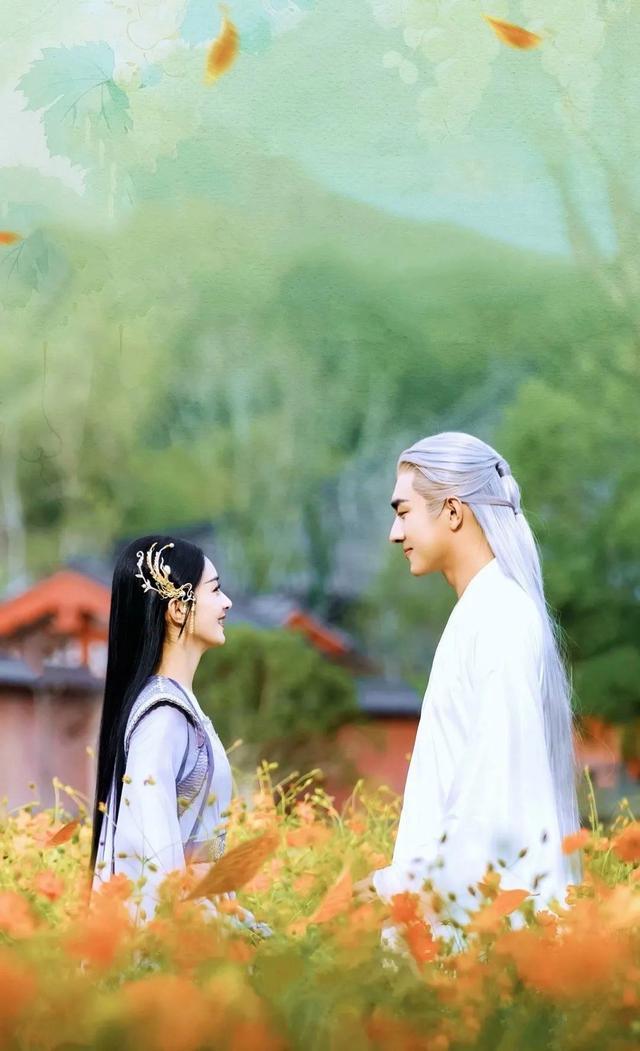 与凤行豆瓣开分72赵丽颖林更新携手佳绩