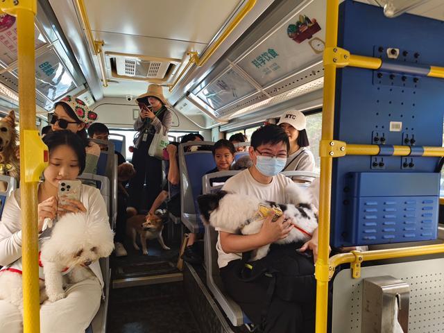 深圳首辆宠物友好巴士试开通 周末专线引关注