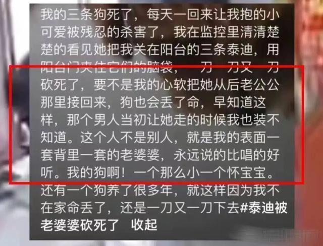 女子回应养的狗被婆婆砍死：已报警 永远不想见她