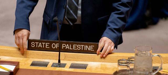 媒体批评美国阻碍巴勒斯坦“入联”