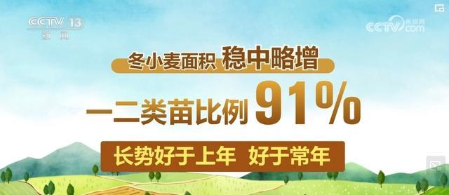 一季度农业农村经济稳健开局 丰收基础稳固，产业势头佳