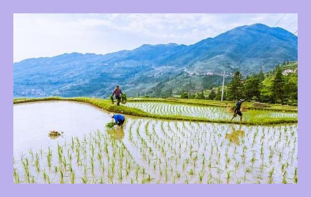 今日三月十四龙年龙月龙日 龙年龙月龙日龙时有啥说法？