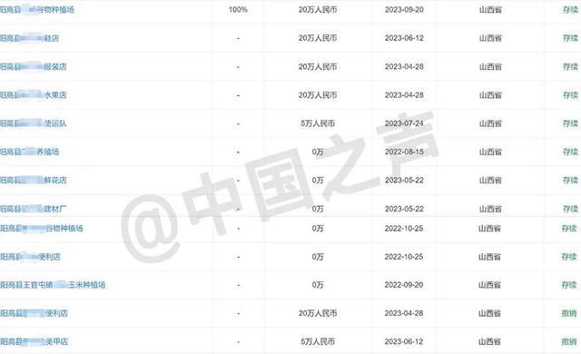 村支书办20张营业执照为完成任务 基层摊派乱象调查