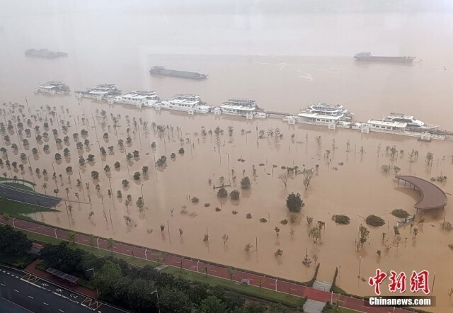 珠江流域北江沿江树木道路被淹 暴雨连袭，多地告急