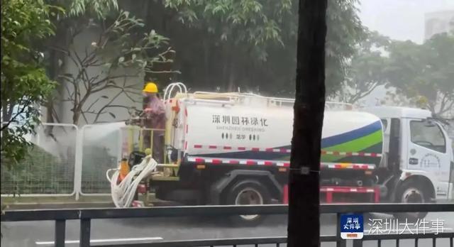 深圳现暴雨天给绿植浇水引质疑