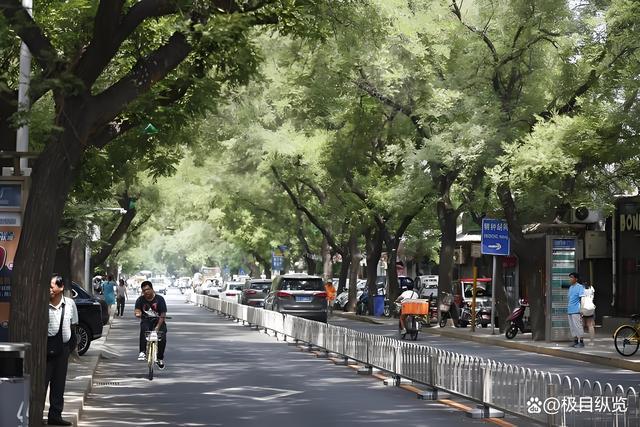 北京胡同的文艺气息 鼓楼西大街的静谧之旅