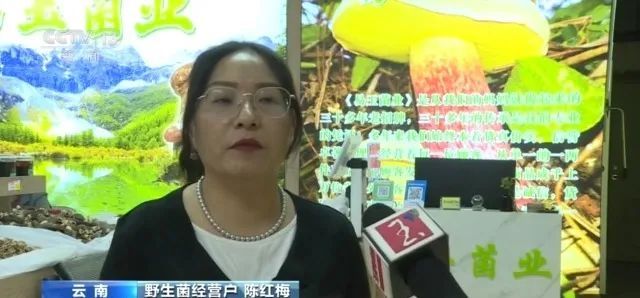 如何分辨野生菌是否能食用 谨记"四不吃"保安全