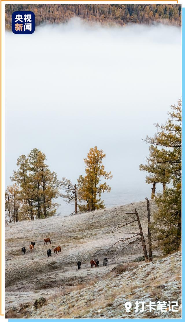 《我的阿勒泰》后劲太大了 雪山森林牛羊跃然而出