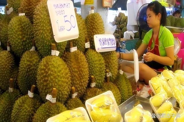 榴莲价格暴跌 泰国越南发愁 国产榴莲崛起冲击市场