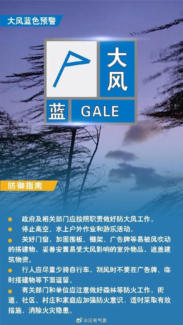 郑州的风有多大 局地阵风11级不少大树被连根拔起