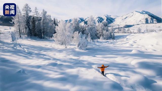 《我的阿勒泰》后劲太大了 雪山森林牛羊跃然而出