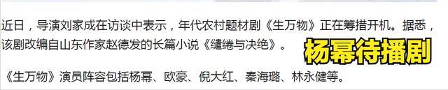 杨幂回应是内娱统治区的神 演技争议背后的努力与挑战