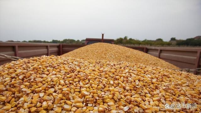 国际油价5月14日下跌 图表分析详情